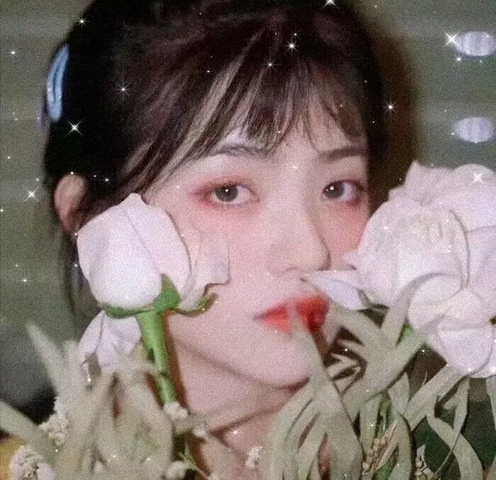 庐山假面目